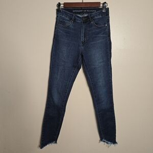 Articles of Society High Waist Skinny Jeans
